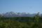 20100531151351