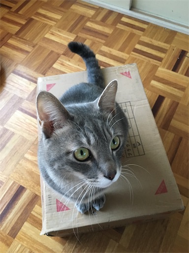 f:id:seori88:20191204222835j:image f:id:seori88:20191204222835j:image