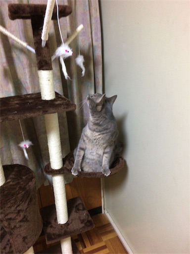 f:id:seori88:20191204223632j:image f:id:seori88:20191204223632j:image