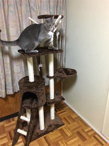 f:id:seori88:20191204223640j:image f:id:seori88:20191204223640j:image