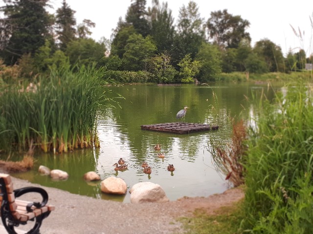 f:id:sephton195:20200625183042j:image