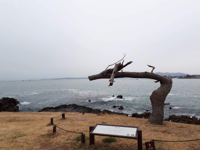 f:id:sephton195:20200628163422j:image