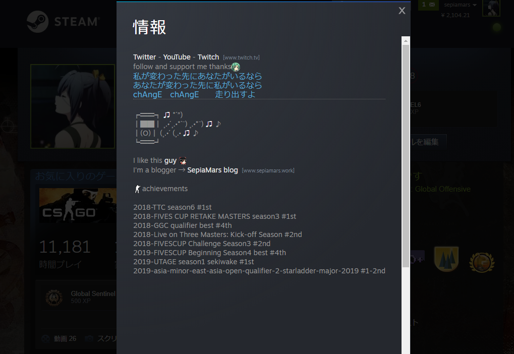 Steamプロフィール紹介 Steam Sepiamarsブログ