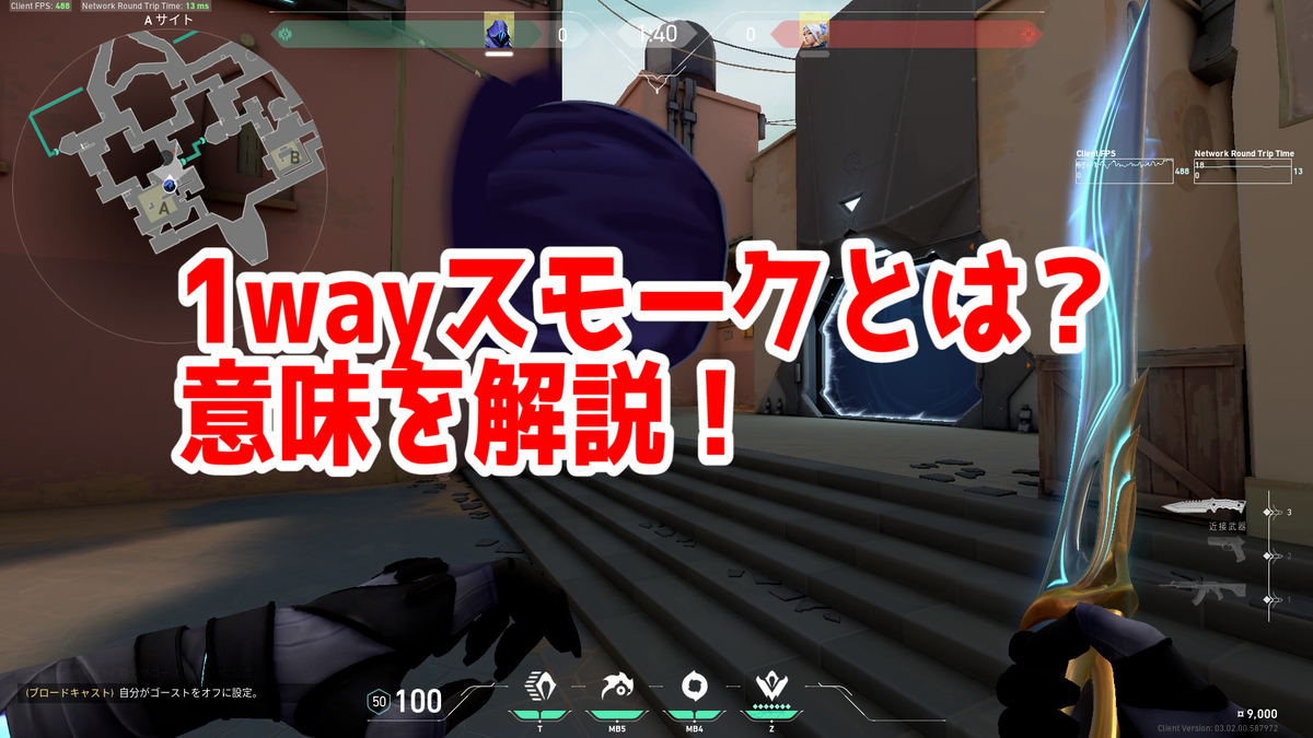 1wayスモークの意味 用語解説 Sepiamarsブログ