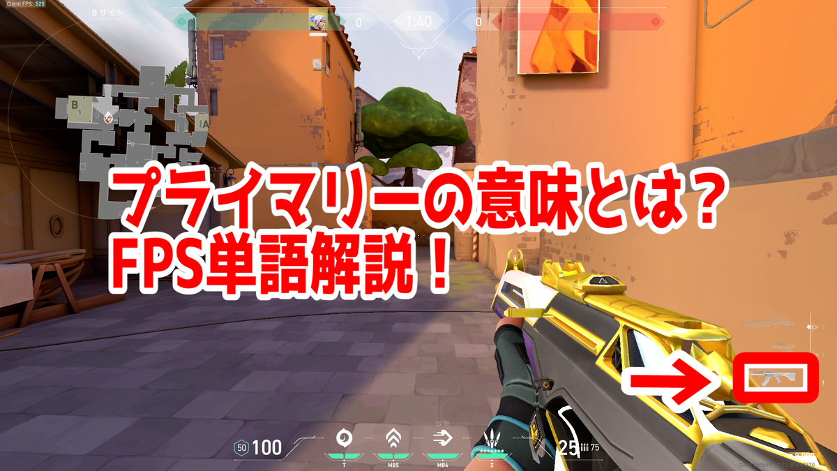 Fpsの プライマリー ってどういう意味 意味を解説 単語解説 Sepiamarsブログ