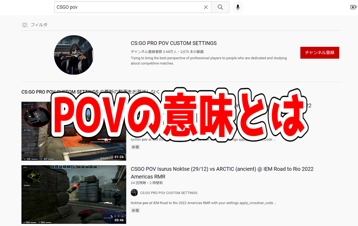 FPSの「POV」ってどういう意味？意味を解説！【単語解説】 - SepiaMarsブログ