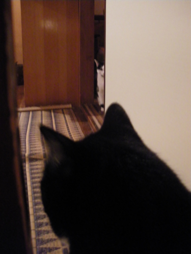 f:id:seppaku:20121110015458j:image f:id:seppaku:20121110015458j:image