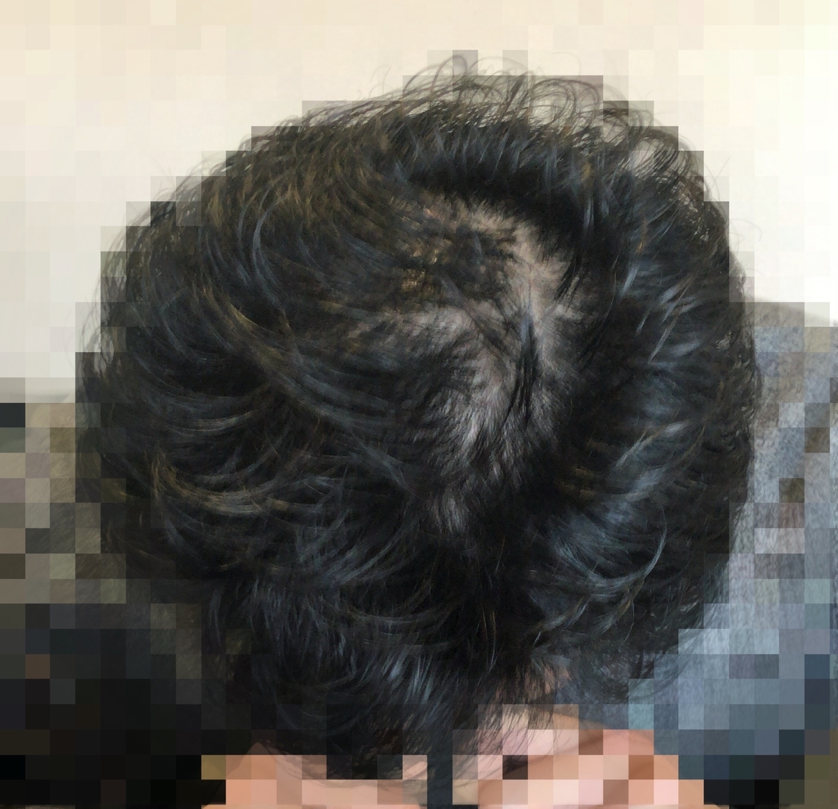 f:id:sept-cloche:20190611233850j:plain