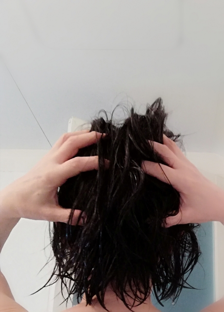 f:id:sept-cloche:20190726013359j:plain