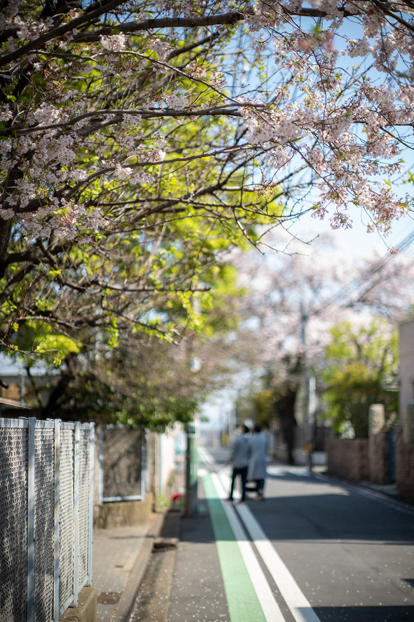ミノルタのオールドレンズ〈MINOLTA MC ROKKOR-PG 58mm F1.2〉を入手
