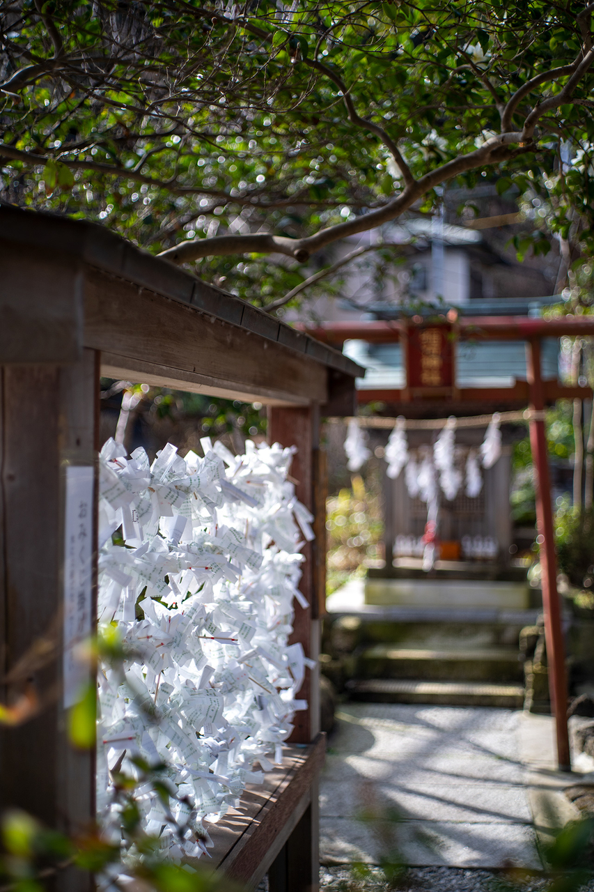 SONY α7IIIとミノルタのオールドレンズで撮る。〈MD ROKKOR 45mm F2