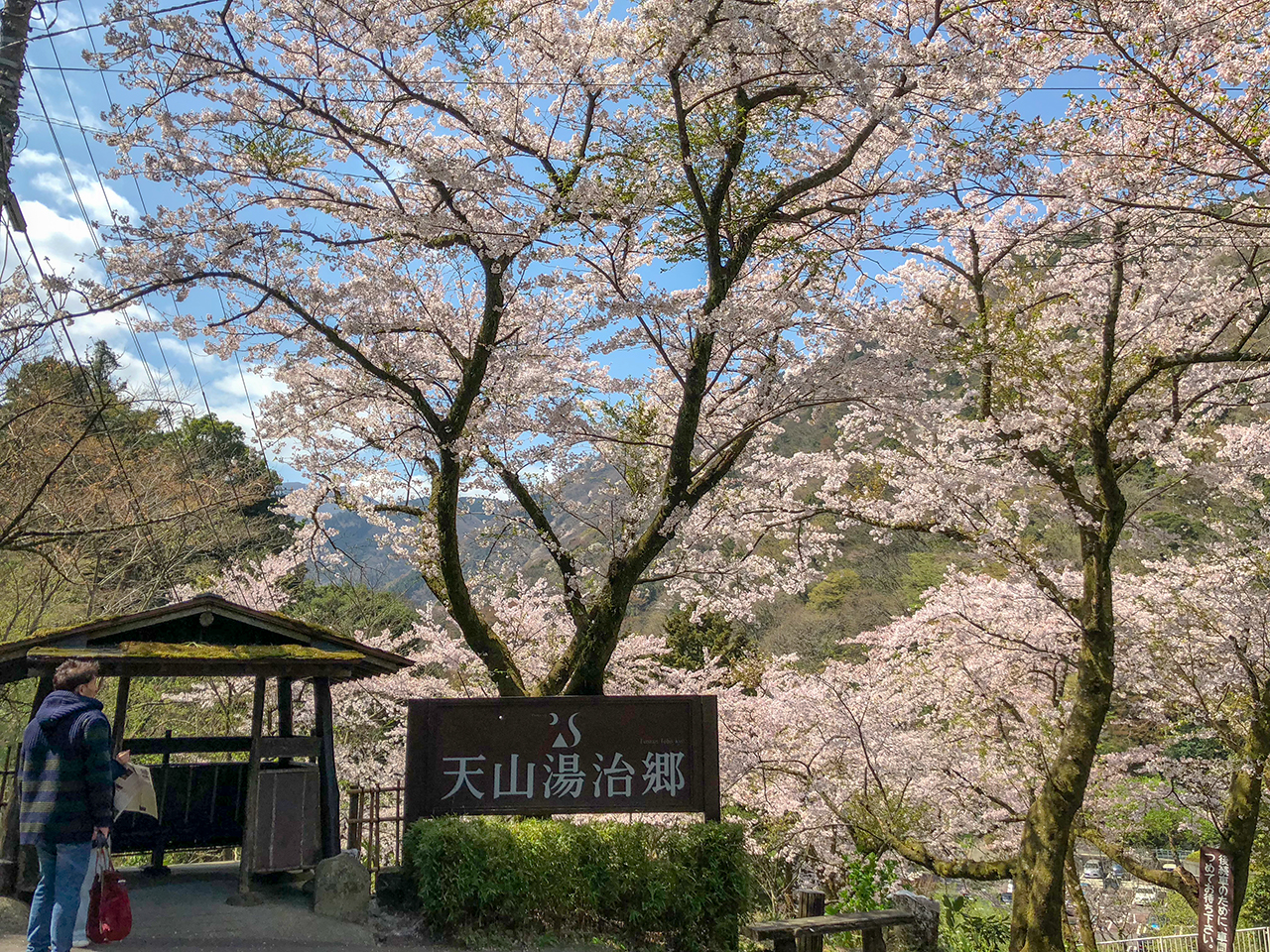 箱根湯本温泉〈天山湯治郷〉