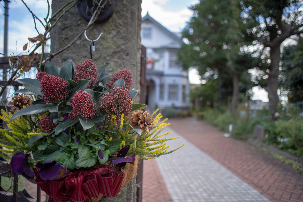 MINOLTA New MD 24mm F2.8の作例