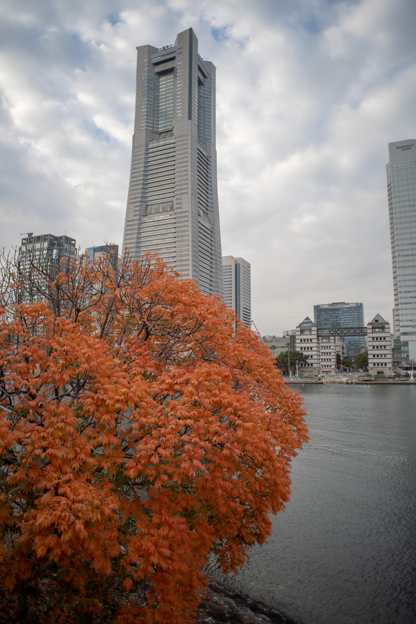MINOLTA New MD 24mm F2.8の作例
