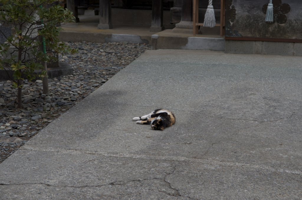 北野神社