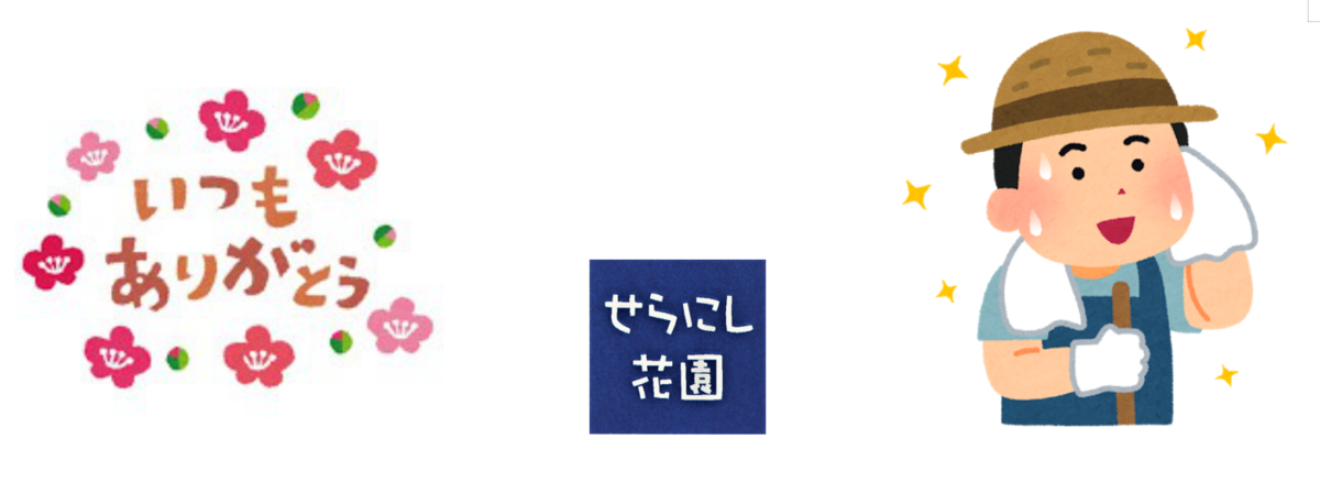 f:id:serawest:20210608070607p:plain
