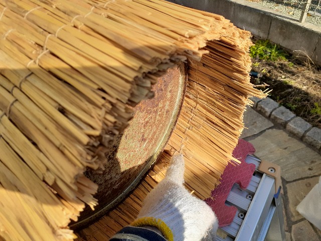 f:id:sere-na:20191229132756j:plain f:id:sere-na:20191229132756j:plain