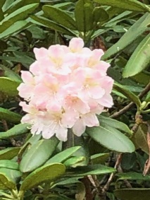 f:id:serena2003:20190807214035j:plain