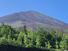 f:id:serena2003:20190807214130j:plain