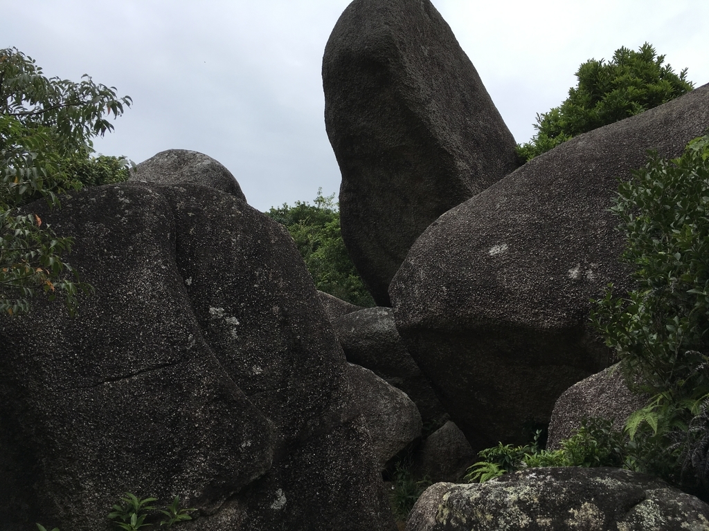 f:id:serenaO:20181211221623j:plain f:id:serenaO:20181211221623j:plain