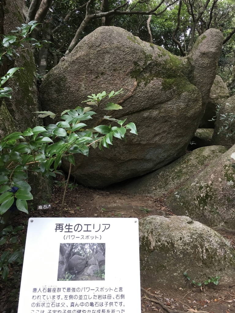 f:id:serenaO:20181211230003j:plain f:id:serenaO:20181211230003j:plain