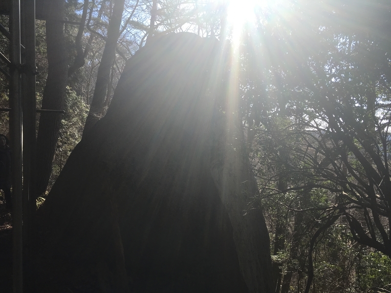 f:id:serenaO:20190116185529j:plain f:id:serenaO:20190116185529j:plain