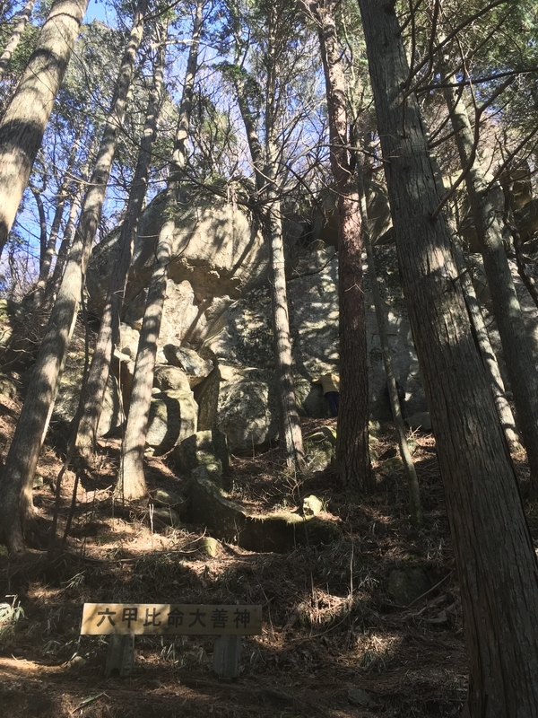 f:id:serenaO:20190116185801j:plain f:id:serenaO:20190116185801j:plain