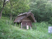 f:id:serenaO:20190117223035p:plain f:id:serenaO:20190117223035p:plain