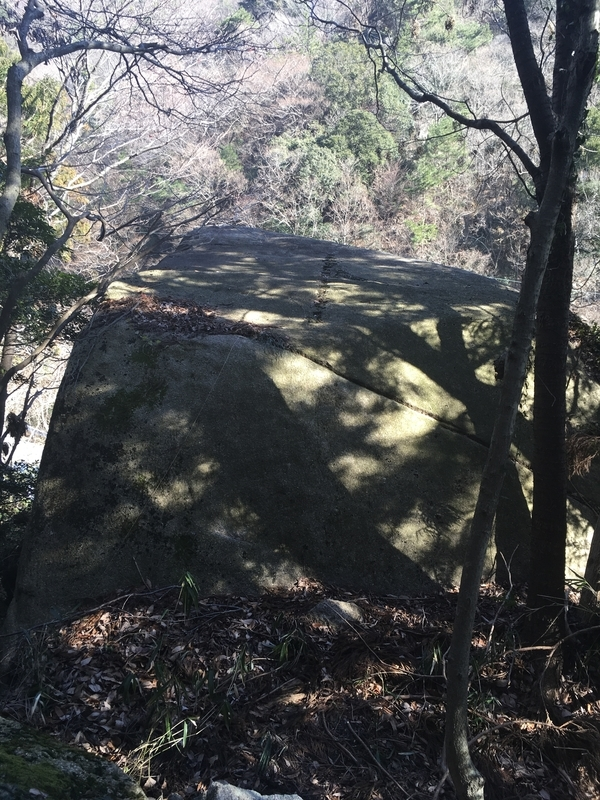 f:id:serenaO:20190117224112p:plain f:id:serenaO:20190117224112p:plain