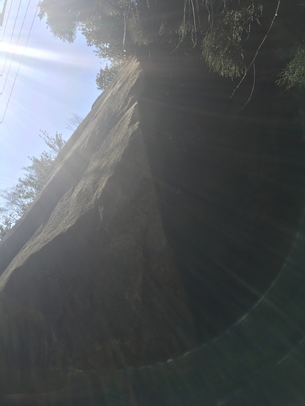 f:id:serenaO:20190117230437p:plain f:id:serenaO:20190117230437p:plain