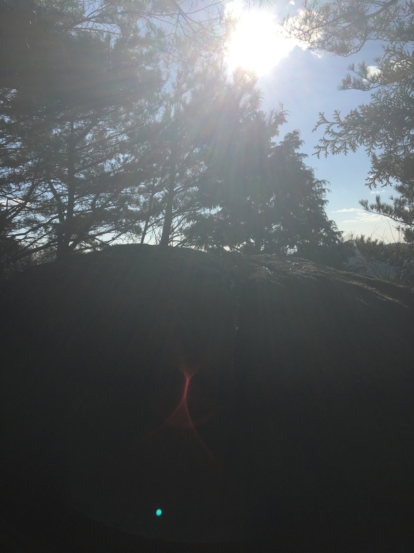 f:id:serenaO:20190117234139j:plain f:id:serenaO:20190117234139j:plain