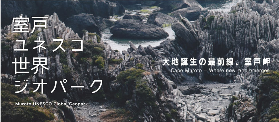 f:id:serenaO:20190123225753p:plain f:id:serenaO:20190123225753p:plain