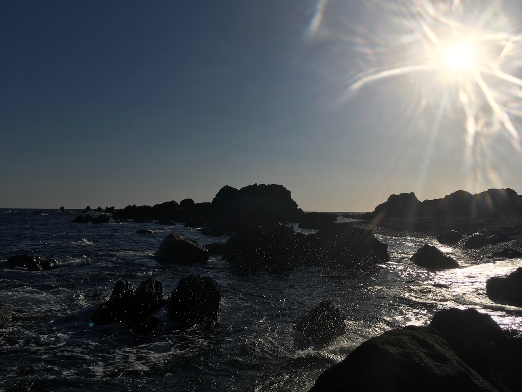 f:id:serenaO:20190123231101j:plain f:id:serenaO:20190123231101j:plain