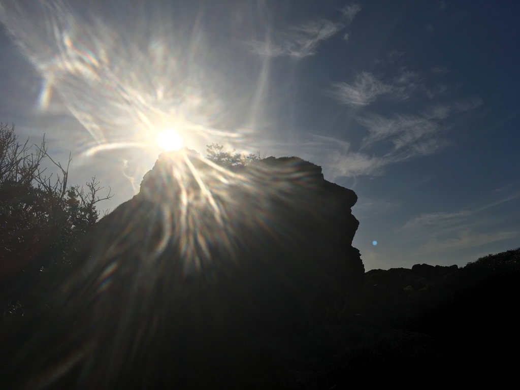 f:id:serenaO:20190123231146j:plain f:id:serenaO:20190123231146j:plain