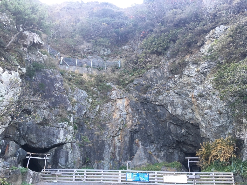 f:id:serenaO:20190124000419j:plain f:id:serenaO:20190124000419j:plain