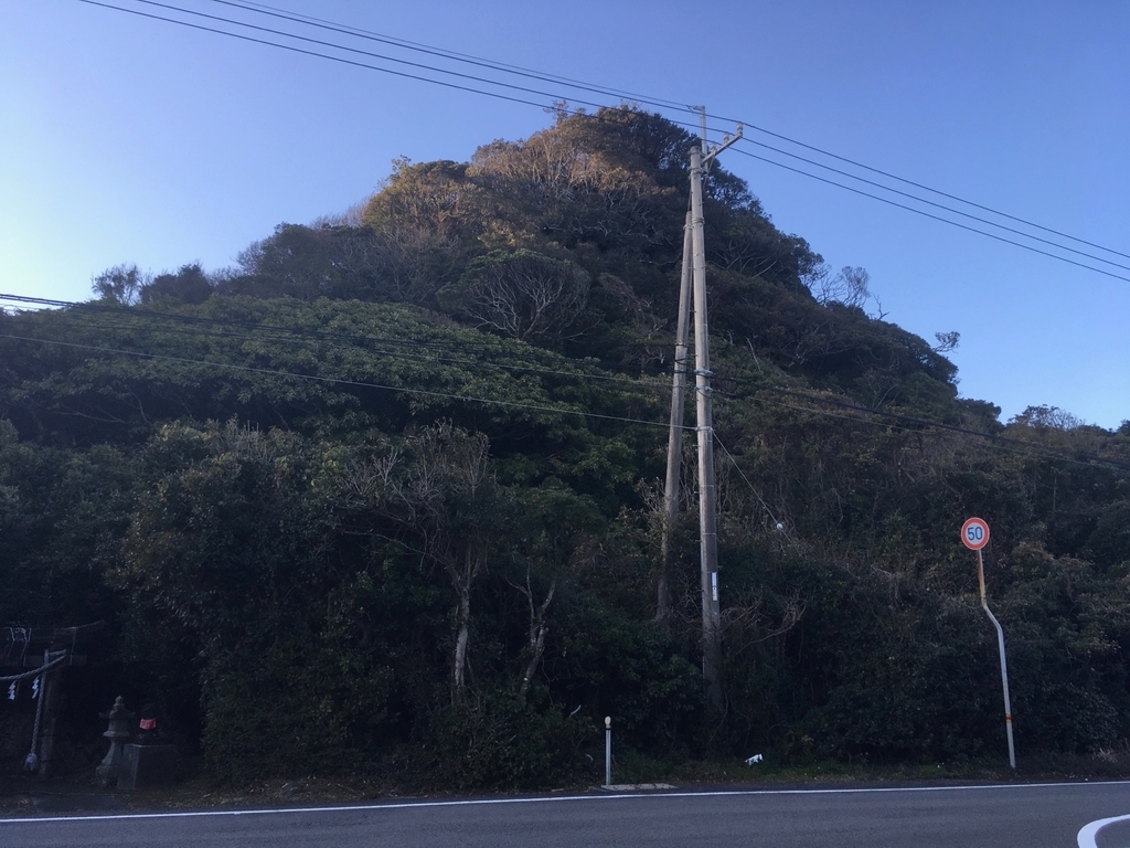 f:id:serenaO:20190124004038j:plain f:id:serenaO:20190124004038j:plain