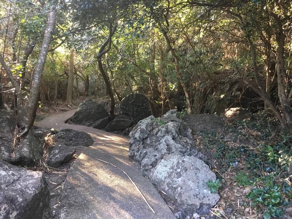 f:id:serenaO:20190124004506j:plain f:id:serenaO:20190124004506j:plain