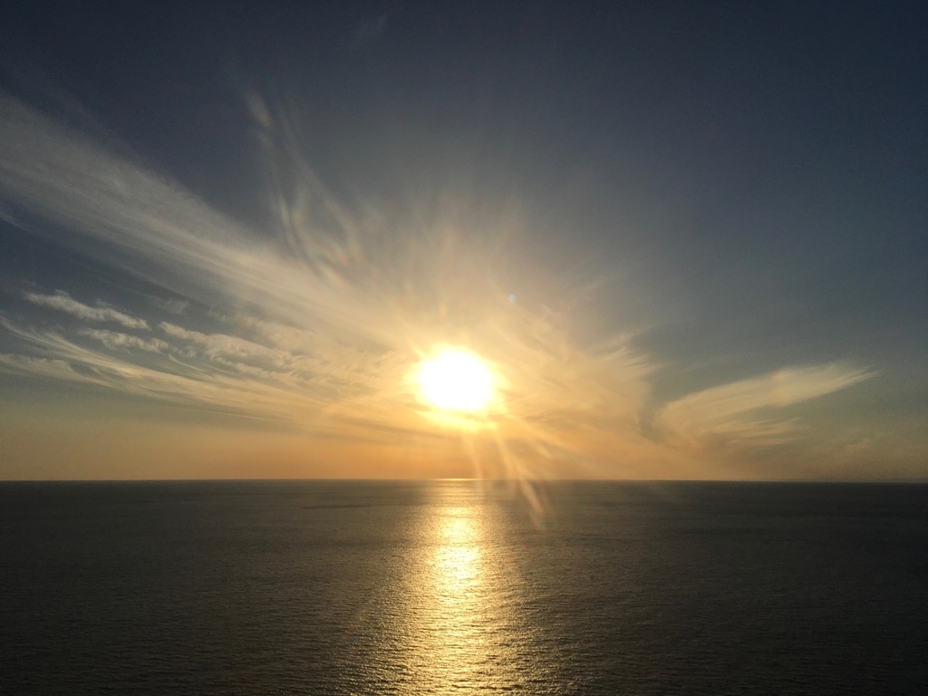 f:id:serenaO:20190124014356j:plain f:id:serenaO:20190124014356j:plain