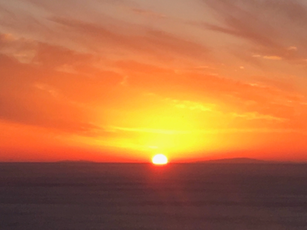 f:id:serenaO:20190124014546j:plain f:id:serenaO:20190124014546j:plain