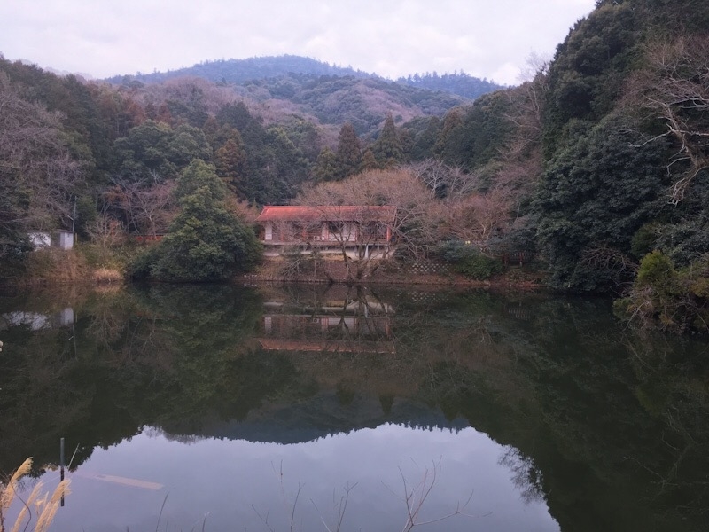 f:id:serenaO:20190301004140j:plain f:id:serenaO:20190301004140j:plain