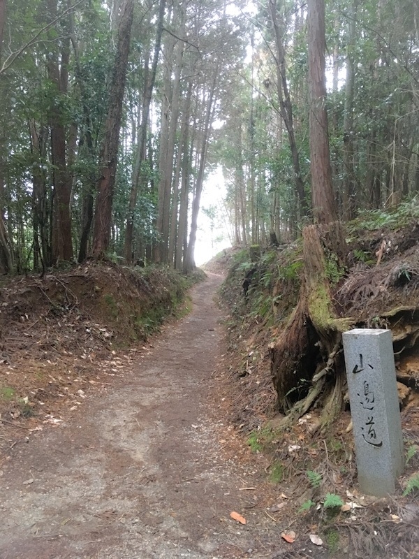 f:id:serenaO:20190301004143j:plain f:id:serenaO:20190301004143j:plain