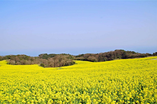 f:id:serenaO:20190301051932p:plain f:id:serenaO:20190301051932p:plain