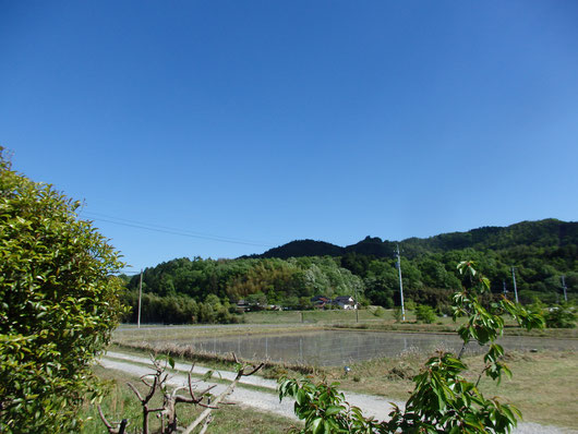 f:id:serenaO:20190623045236p:plain f:id:serenaO:20190623045236p:plain