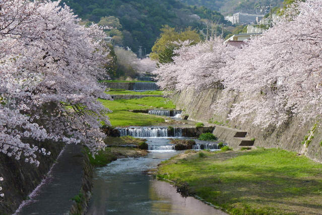 f:id:serenaO:20210402000349j:plain