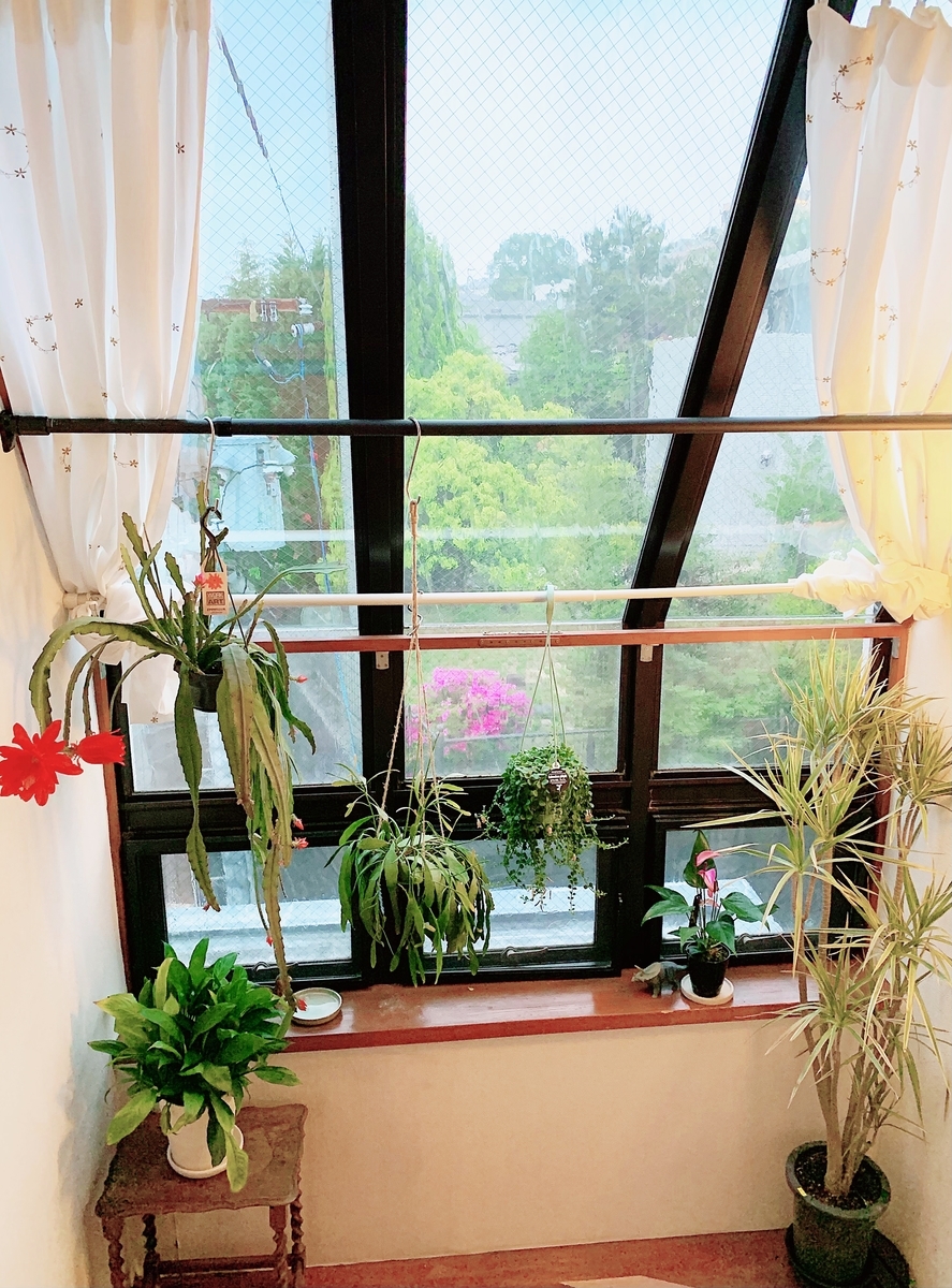 f:id:serenaO:20210430224814j:plain