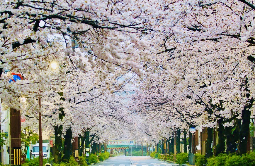 f:id:serenaO:20220325032406j:plain