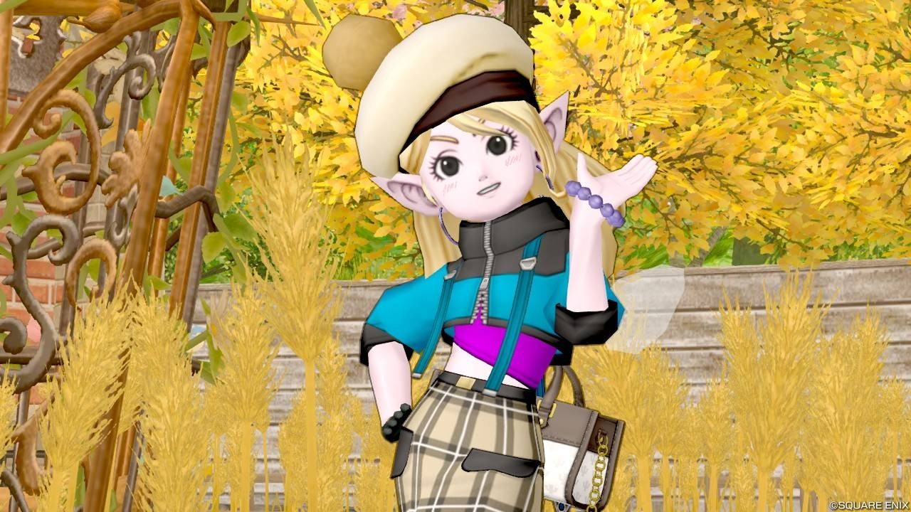f:id:serenyan_dqx:20260106010156j:image