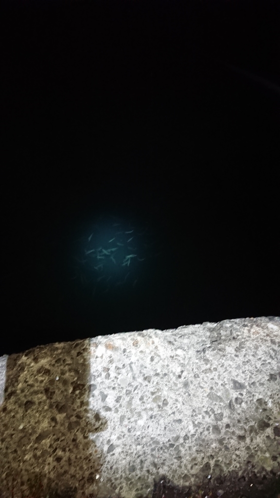 f:id:serezo_com:20180830130625j:plain