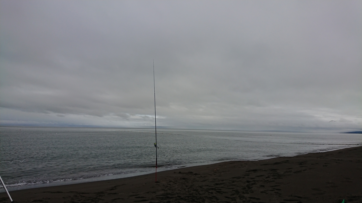 f:id:serezo_com:20190829184813j:plain