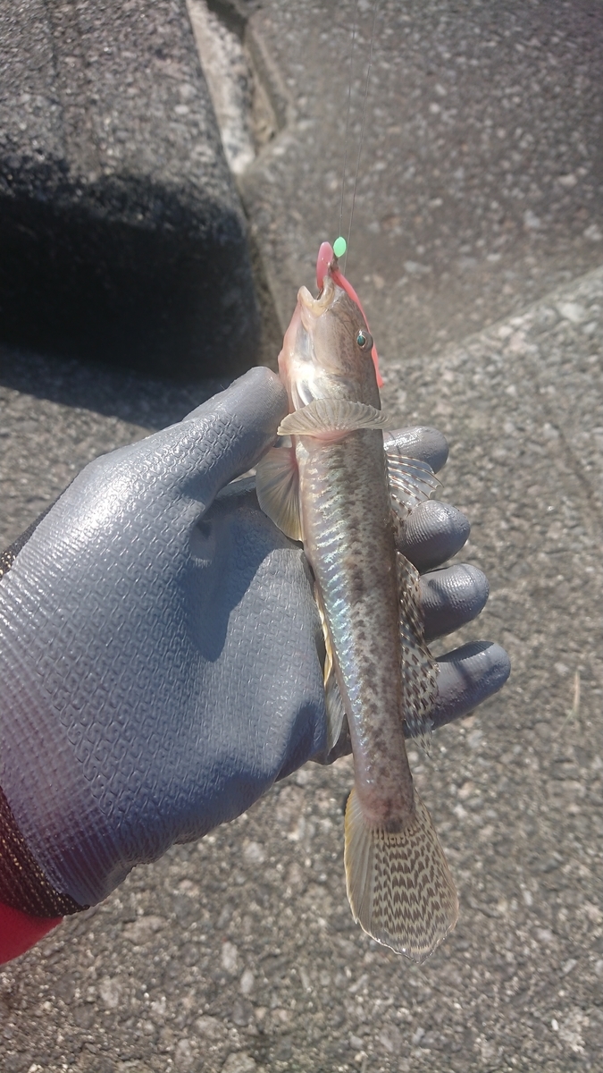 f:id:serezo_com:20190926131628j:plain f:id:serezo_com:20190926131628j:plain